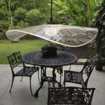 135051892-2.jpg