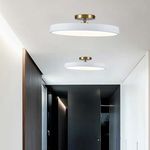 135051904-3.jpg
