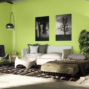 Pintura fachadas verde