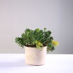 135051201-1.jpg
