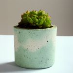 135051206-1.jpg