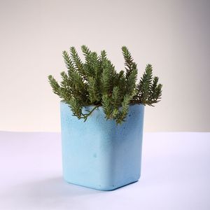 Matera Kiska Grande 14Cm