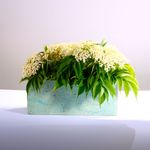 IMG01.jpg