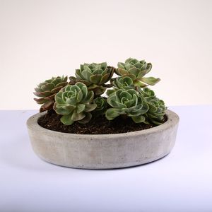 Matera Serafín 32Cm