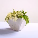 IMG01.jpg