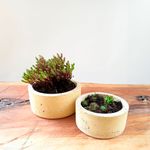 135051297-1.jpg