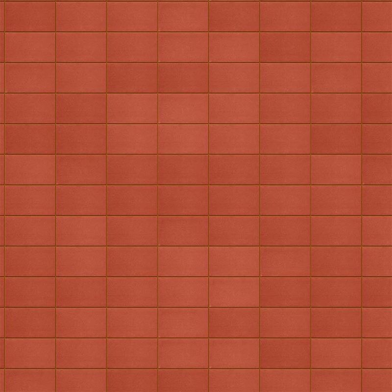225000379-00.jpg