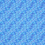 135027891-00.jpg