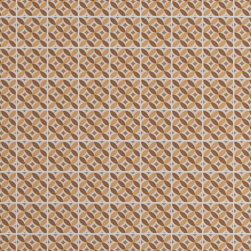 225028446-00.jpg