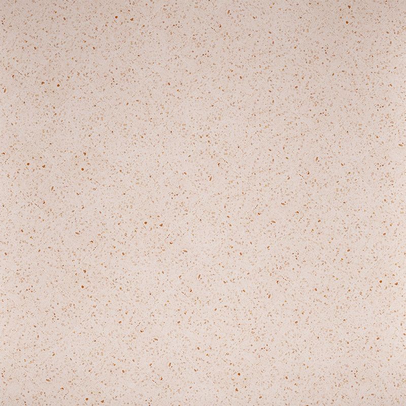 225028410-0000.jpg