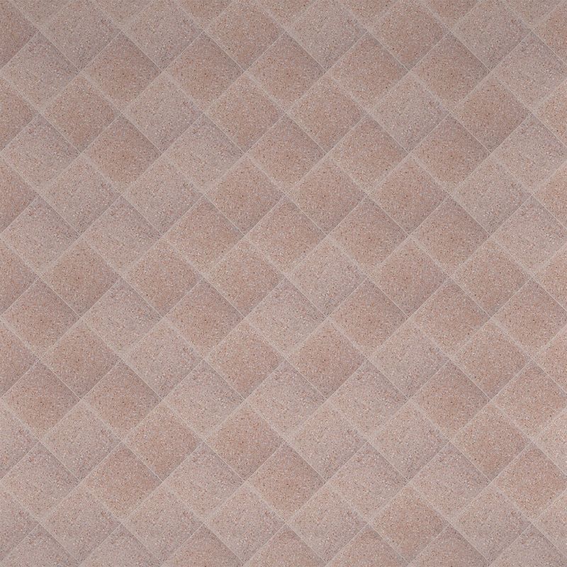 225028495-0000.jpg