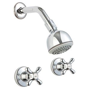 Ducha Mezcladora Monza Cruz 8 Pulgadas