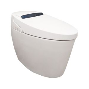 Sanitario Smart Intregado