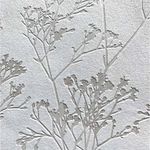IMG01.jpg