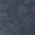 135048952-1.jpg