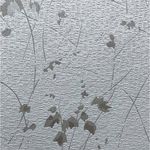 IMG01.jpg