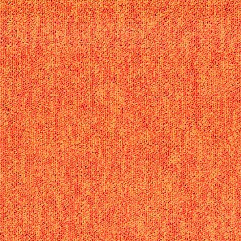 IMG01.jpg