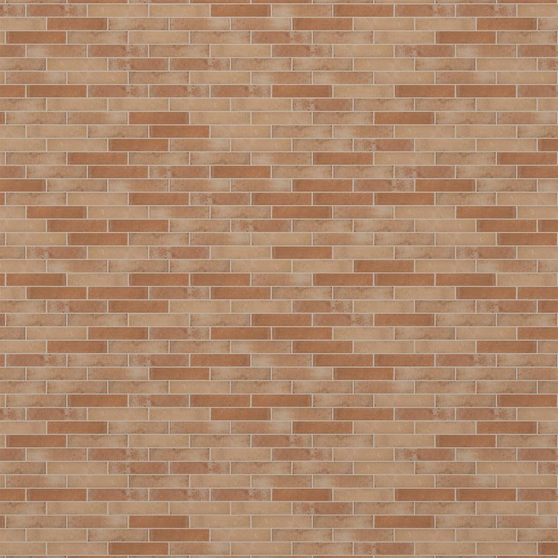 225027653-000.jpg