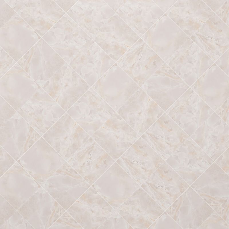 225028817-0000.jpg