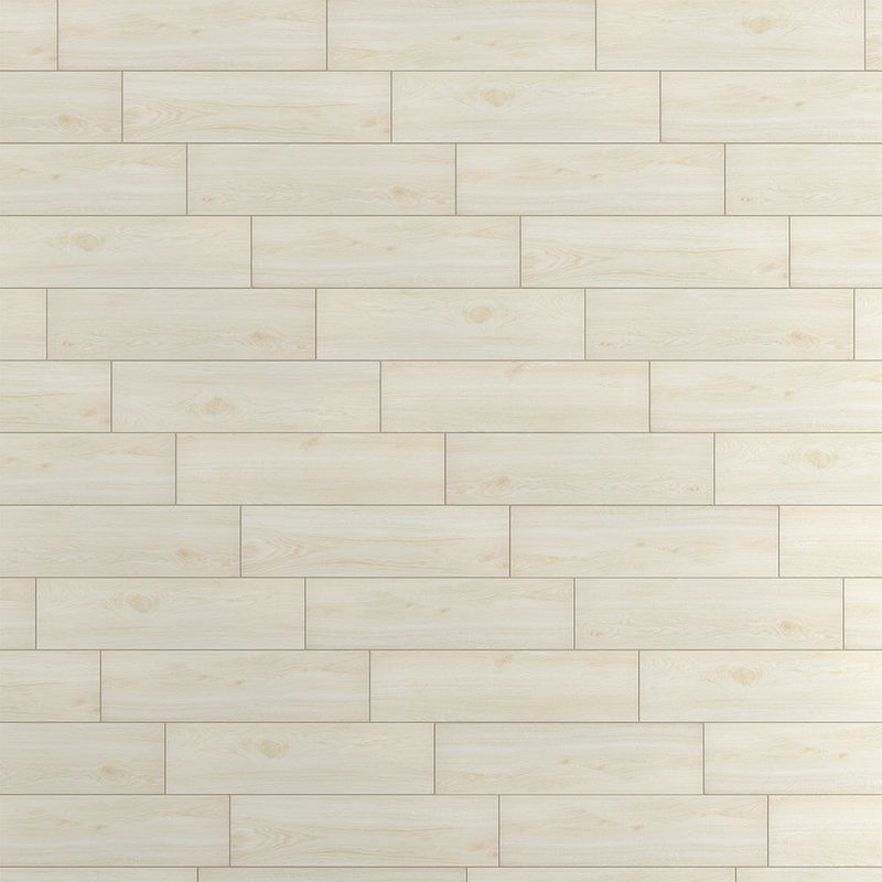 225026963-000.jpg