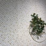 135052397-1.jpg