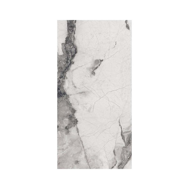 135050919_2.jpg