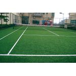 IMG01.jpg