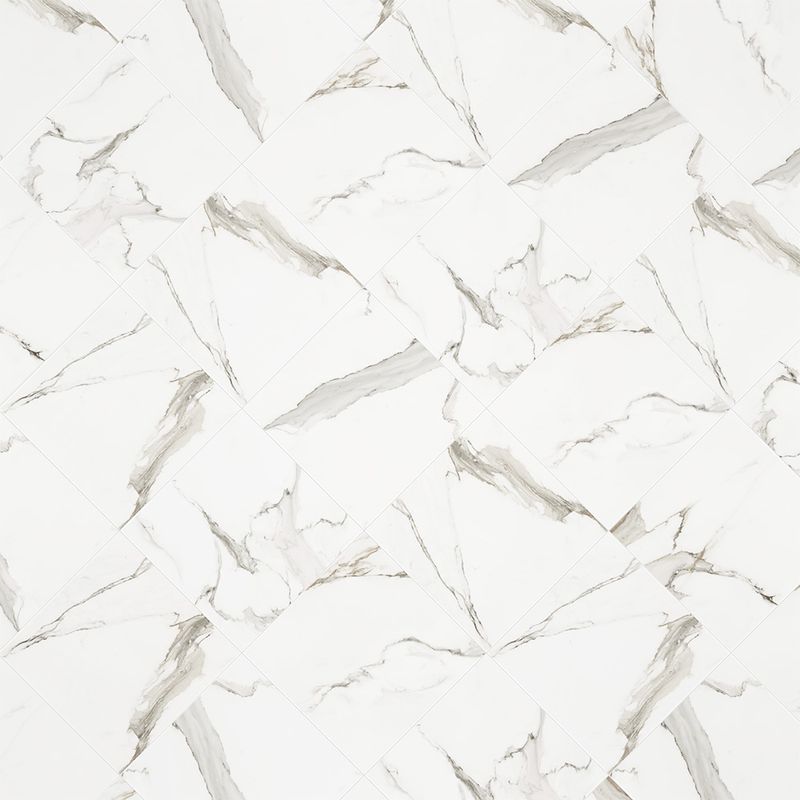 225028287-0000.jpg