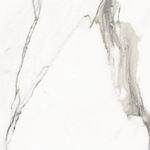 225028287-1.jpg