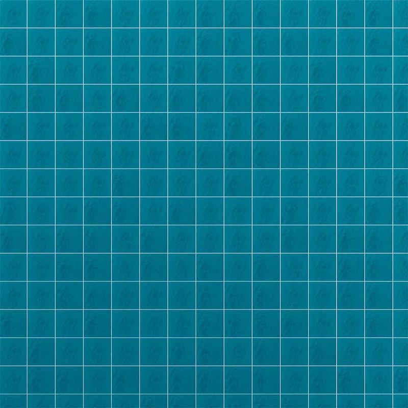 225026883-00.jpg