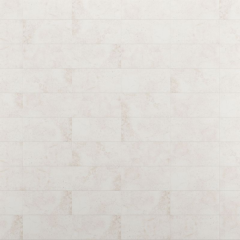 225028353-00.jpg