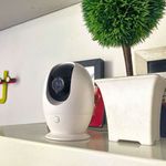 135056650-3.jpg