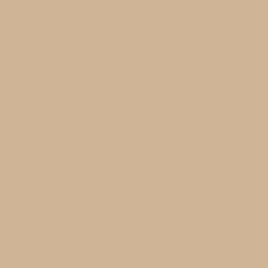 Pintura tipo 1 interior Beige Essence - Lino