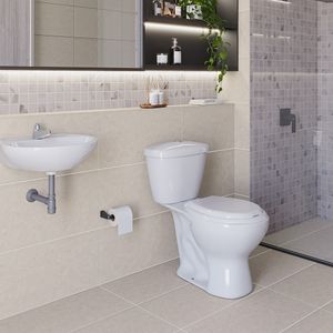 Sanitario Andino