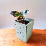 135051278-1.jpg