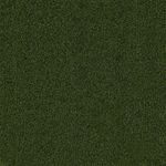 135045284-2.jpg