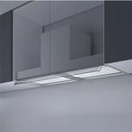 135053228-0.jpg