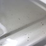 135056541-8.jpg